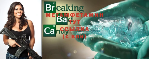 шишки Сатка