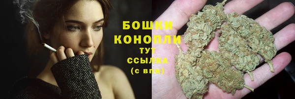 ешки Бородино