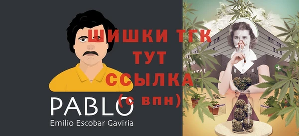 шишки Сатка