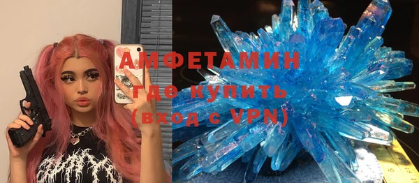 шишки Сатка