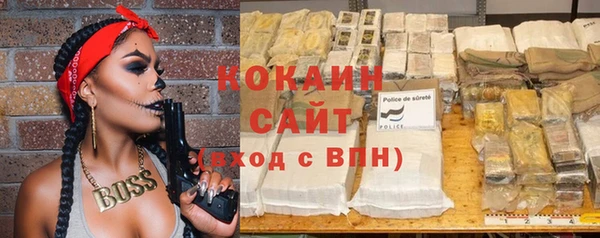 прущие грибы Куйбышев