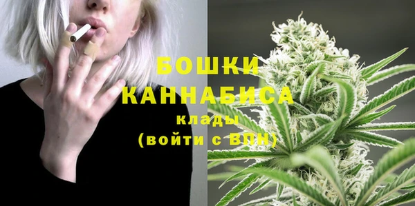 ешки Бородино